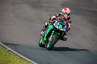 PJ-Motorsport-2019;anglesey-no-limits-trackday;anglesey-photographs;anglesey-trackday-photographs;enduro-digital-images;event-digital-images;eventdigitalimages;no-limits-trackdays;peter-wileman-photography;racing-digital-images;trac-mon;trackday-digital-images;trackday-photos;ty-croes